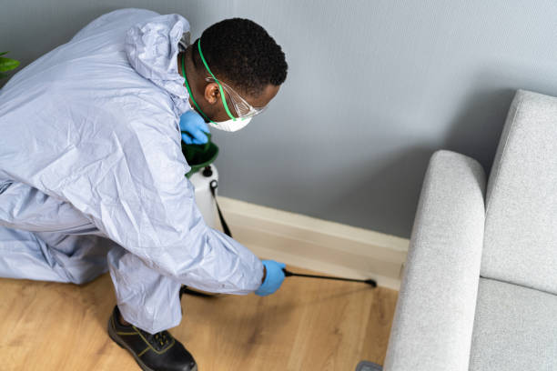 Best Residential Pest Control  in Alamae, NC